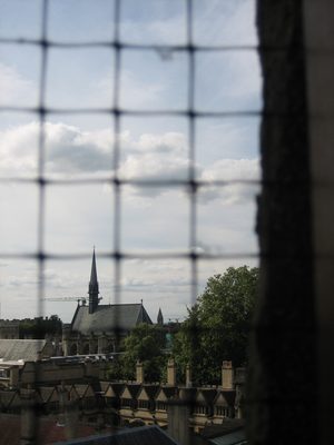 IMG_7060