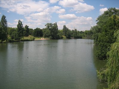 IMG_6951