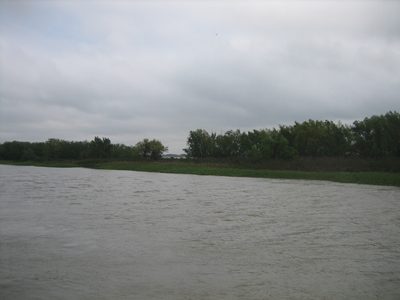 IMG_0387