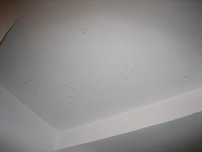 Imagen 028