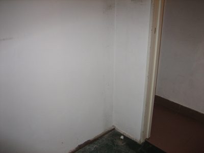 Imagen 032