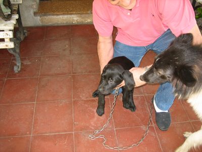 Campo 01-2006 013
