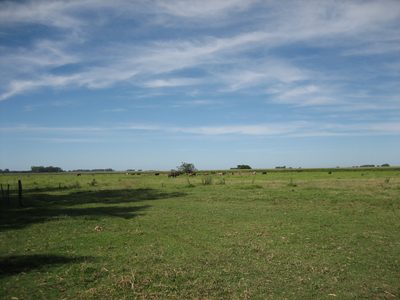Campo 01-2006 022