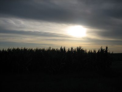 Campo 01-2006 042